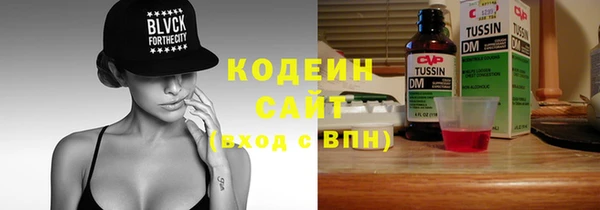 ECSTASY Алзамай